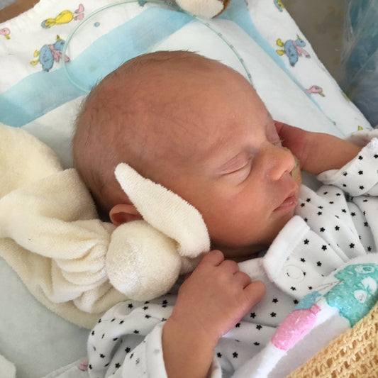 Cuski Premature Baby Bonding Comforter Miniboos 2 pack