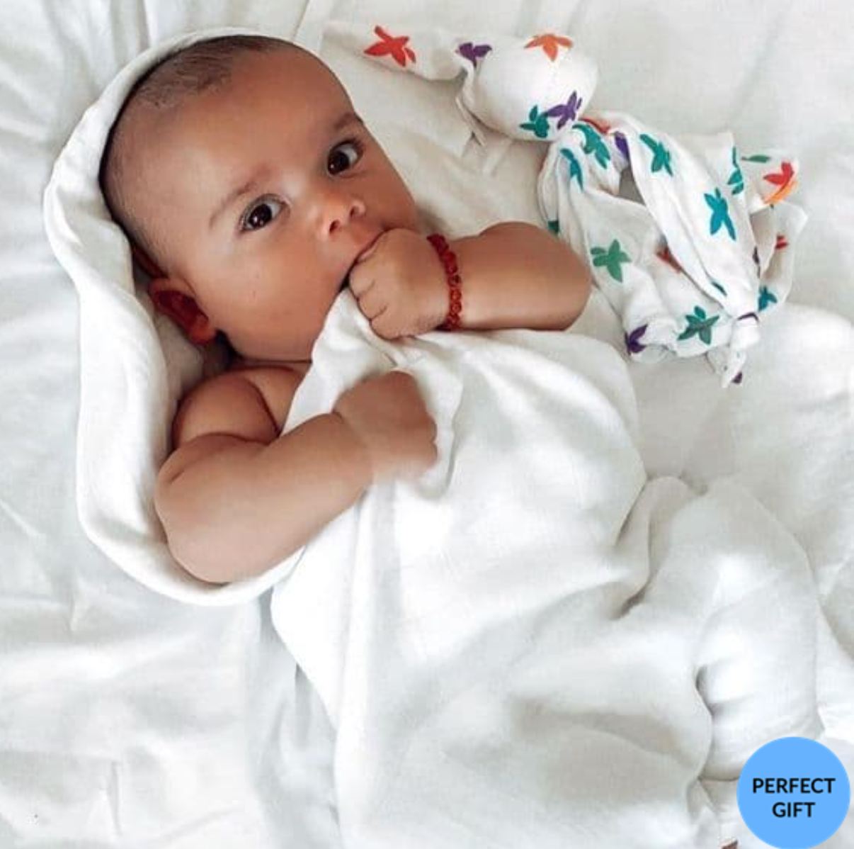 Cuski Mussi Comforter, Charlie