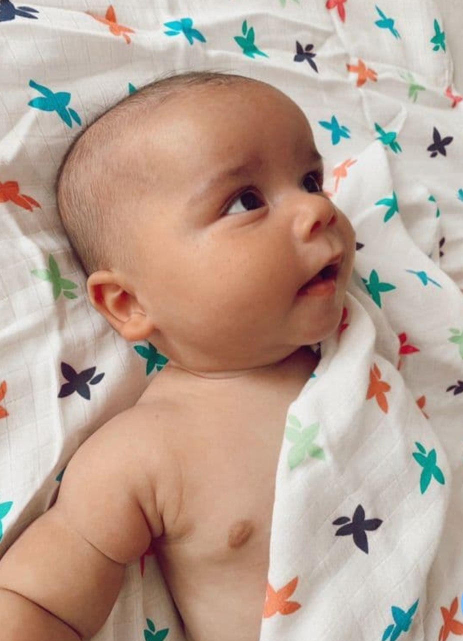 Cuski Mussi Comforter, Charlie